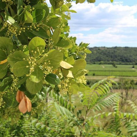 Vila Flora Sečovlje Екстериор снимка