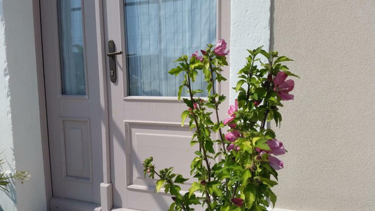 Vila Flora Sečovlje Екстериор снимка