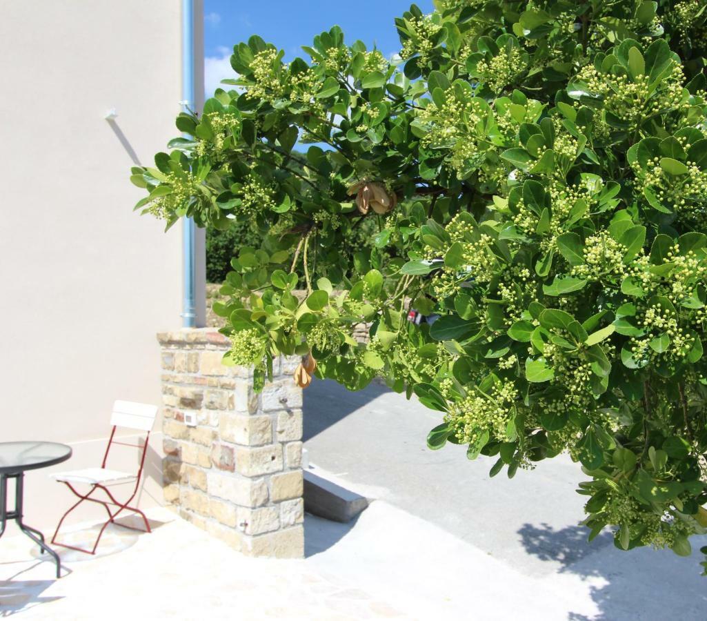 Vila Flora Sečovlje Екстериор снимка