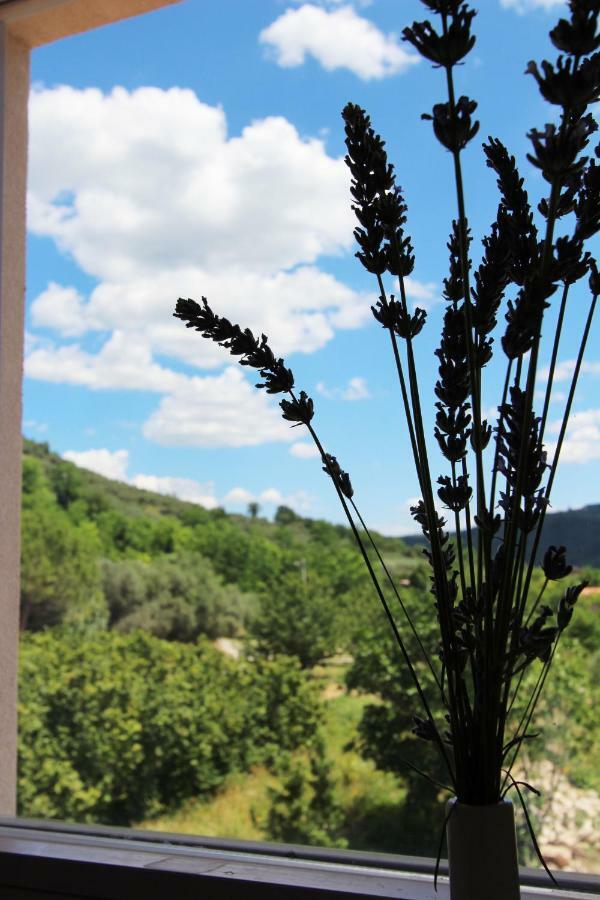 Vila Flora Sečovlje Екстериор снимка